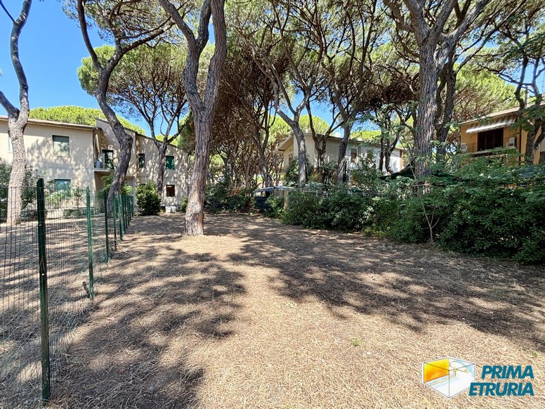 Trilocale con grande giardino privato a meno di 200 metri dal mare - ZONA ROSMARINA -